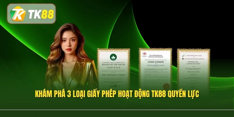 Khám phá 3 loại giấy phép hoạt động TK88 quyền lực