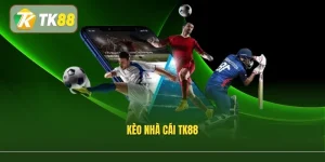 Kèo Nhà Cái Tk88 – Cập Nhật Tỷ Lệ Bóng Đá Realtime Và Các Loại Kèo Hấp Dẫn