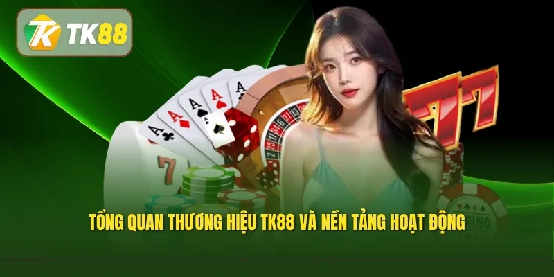 Tổng quan thương hiệu TK88 và nền tảng hoạt động