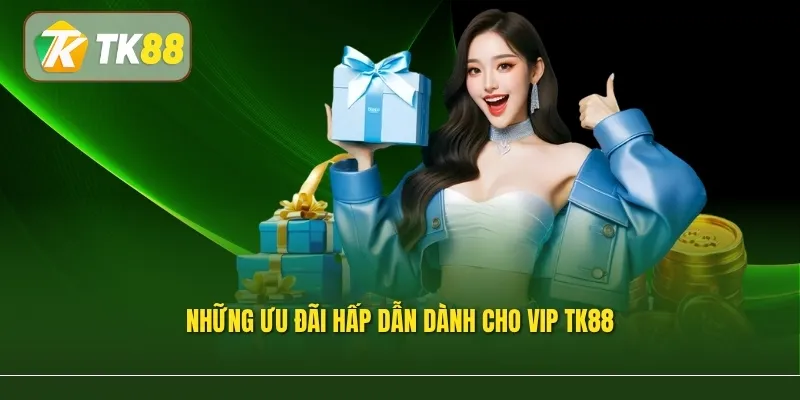 Những ưu đãi hấp dẫn dành cho VIP TK88